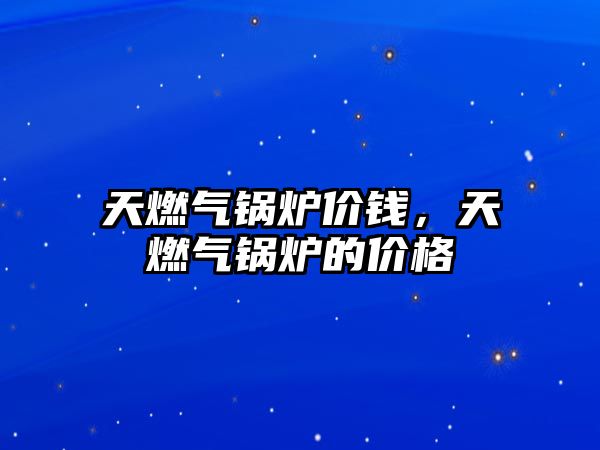 天燃?xì)忮仩t價錢，天燃?xì)忮仩t的價格