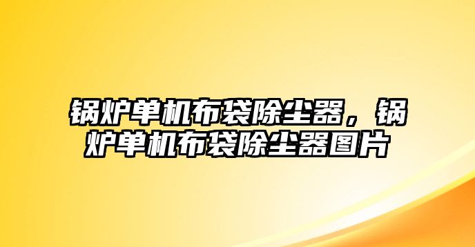 鍋爐單機(jī)布袋除塵器，鍋爐單機(jī)布袋除塵器圖片