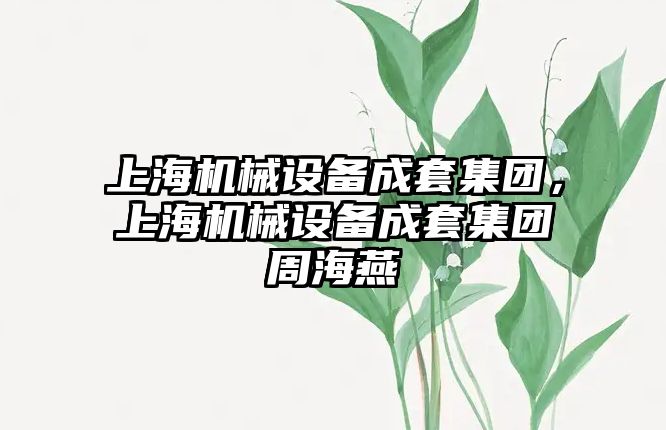 上海機械設備成套集團，上海機械設備成套集團周海燕