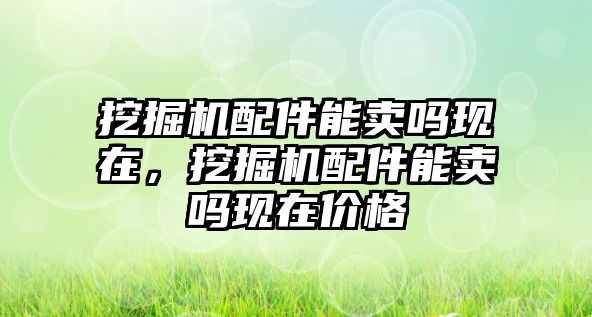 挖掘機配件能賣嗎現(xiàn)在，挖掘機配件能賣嗎現(xiàn)在價格