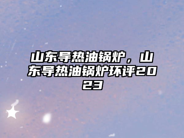 山東導(dǎo)熱油鍋爐，山東導(dǎo)熱油鍋爐環(huán)評(píng)2023