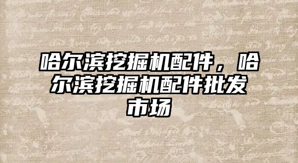 哈爾濱挖掘機配件，哈爾濱挖掘機配件批發(fā)市場