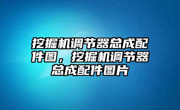 挖掘機(jī)調(diào)節(jié)器總成配件圖，挖掘機(jī)調(diào)節(jié)器總成配件圖片