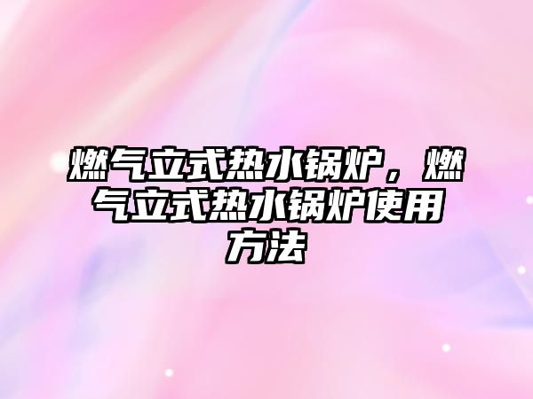 燃?xì)饬⑹綗崴仩t，燃?xì)饬⑹綗崴仩t使用方法