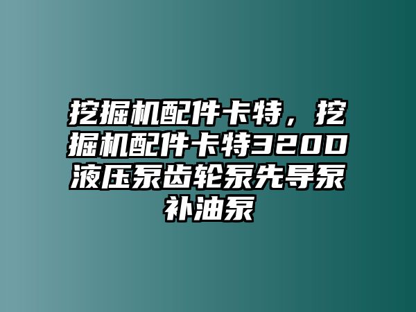 挖掘機配件卡特，挖掘機配件卡特320D液壓泵齒輪泵先導(dǎo)泵補油泵