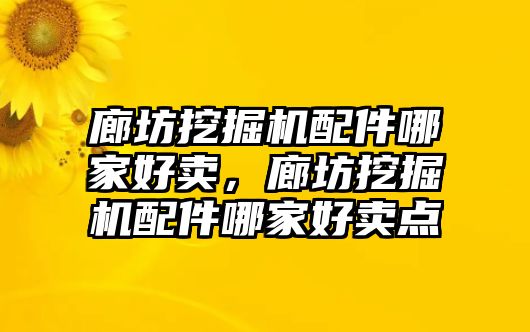 廊坊挖掘機配件哪家好賣，廊坊挖掘機配件哪家好賣點