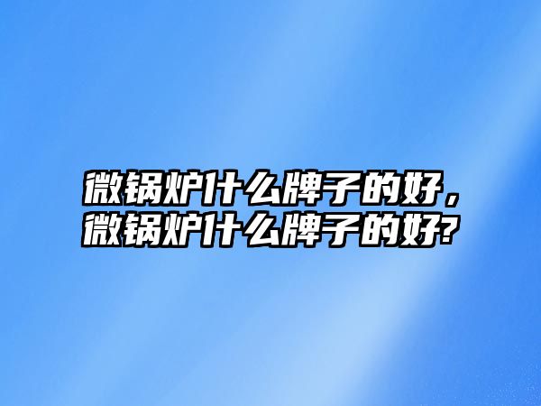 微鍋爐什么牌子的好，微鍋爐什么牌子的好?