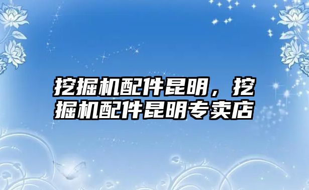 挖掘機配件昆明，挖掘機配件昆明專賣店