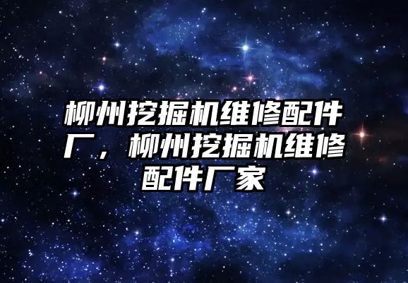 柳州挖掘機維修配件廠，柳州挖掘機維修配件廠家