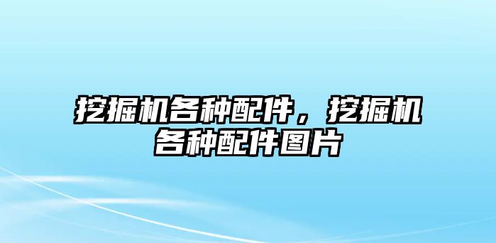 挖掘機(jī)各種配件，挖掘機(jī)各種配件圖片