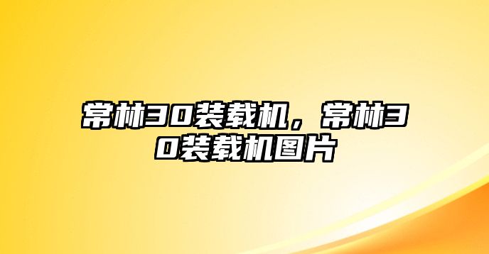 常林30裝載機，常林30裝載機圖片