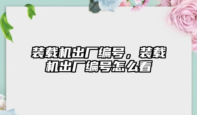 裝載機出廠編號，裝載機出廠編號怎么看