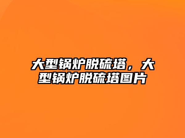 大型鍋爐脫硫塔，大型鍋爐脫硫塔圖片