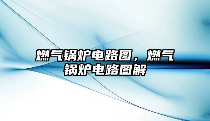 燃?xì)忮仩t電路圖，燃?xì)忮仩t電路圖解