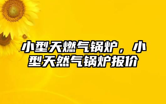 小型天燃?xì)忮仩t，小型天然氣鍋爐報(bào)價(jià)