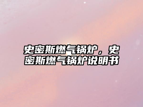 史密斯燃?xì)忮仩t，史密斯燃?xì)忮仩t說明書