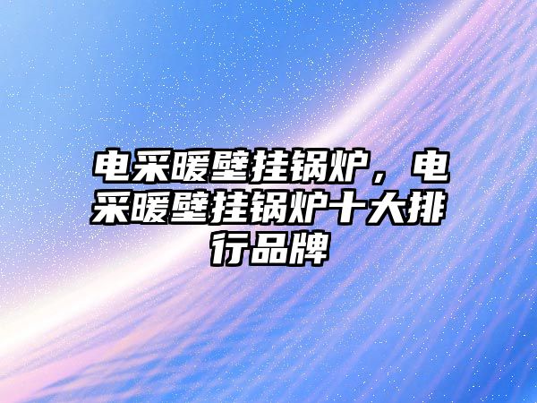 電采暖壁掛鍋爐，電采暖壁掛鍋爐十大排行品牌