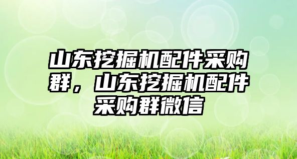 山東挖掘機(jī)配件采購群，山東挖掘機(jī)配件采購群微信