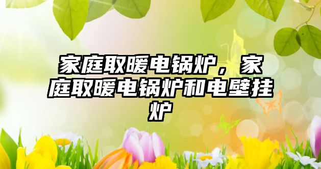 家庭取暖電鍋爐，家庭取暖電鍋爐和電壁掛爐