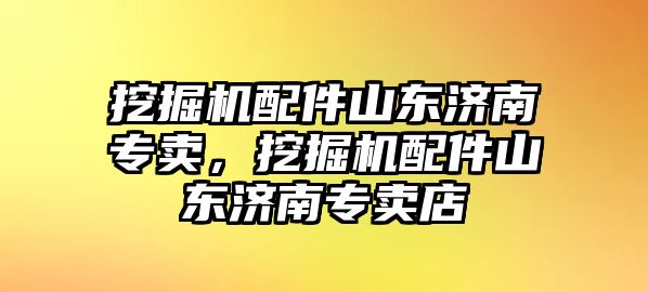 挖掘機配件山東濟南專賣，挖掘機配件山東濟南專賣店