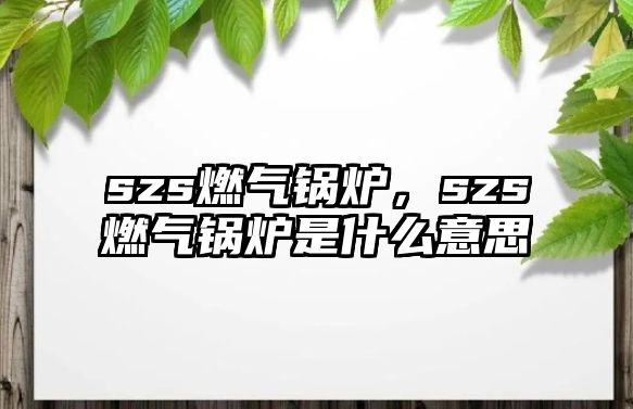 szs燃?xì)忮仩t，szs燃?xì)忮仩t是什么意思