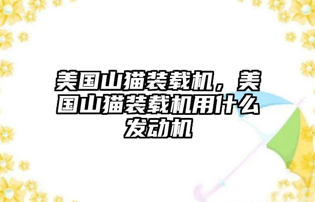 美國(guó)山貓裝載機(jī)，美國(guó)山貓裝載機(jī)用什么發(fā)動(dòng)機(jī)