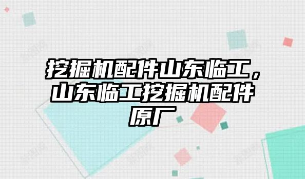 挖掘機配件山東臨工，山東臨工挖掘機配件原廠