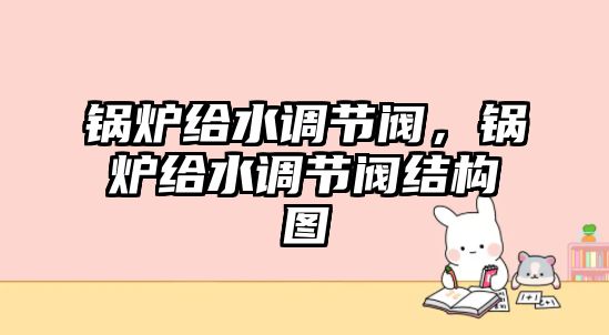 鍋爐給水調(diào)節(jié)閥，鍋爐給水調(diào)節(jié)閥結(jié)構(gòu)圖