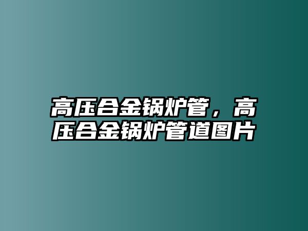 高壓合金鍋爐管，高壓合金鍋爐管道圖片