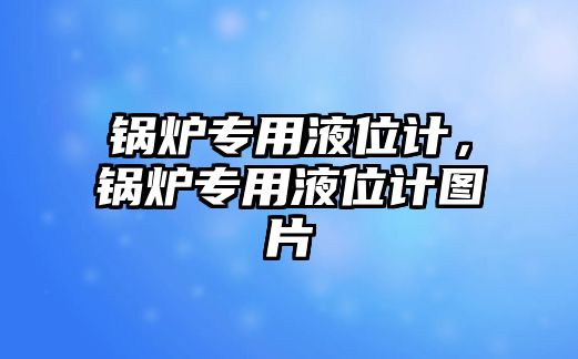 鍋爐專用液位計，鍋爐專用液位計圖片