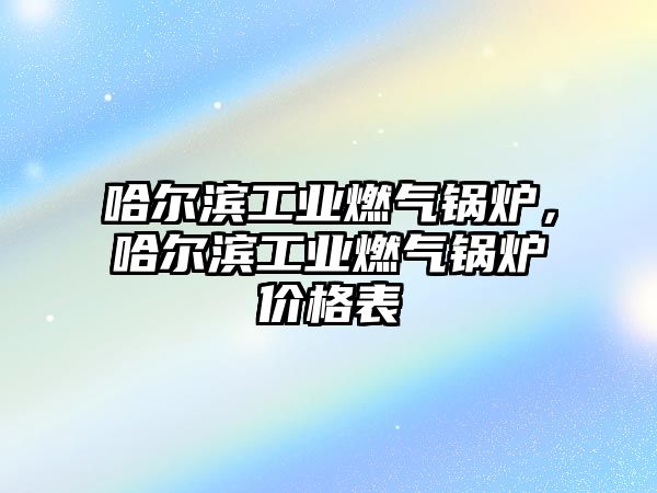 哈爾濱工業(yè)燃?xì)忮仩t，哈爾濱工業(yè)燃?xì)忮仩t價(jià)格表