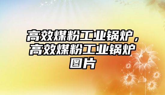 高效煤粉工業(yè)鍋爐，高效煤粉工業(yè)鍋爐圖片