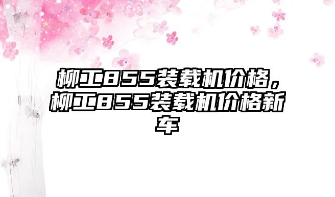 柳工855裝載機(jī)價(jià)格，柳工855裝載機(jī)價(jià)格新車