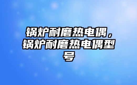 鍋爐耐磨熱電偶，鍋爐耐磨熱電偶型號