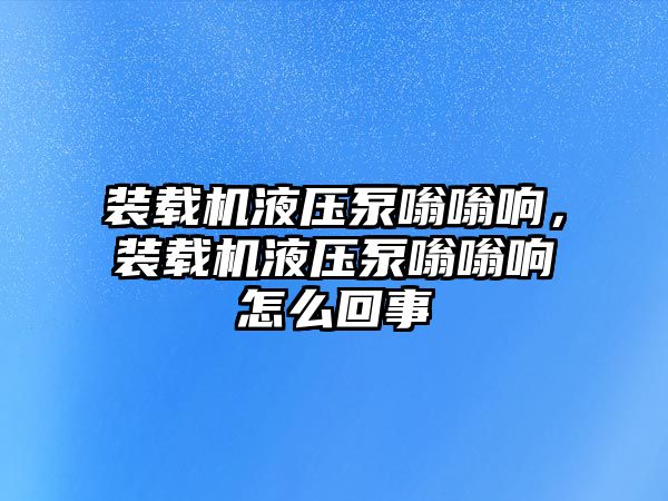 裝載機液壓泵嗡嗡響，裝載機液壓泵嗡嗡響怎么回事