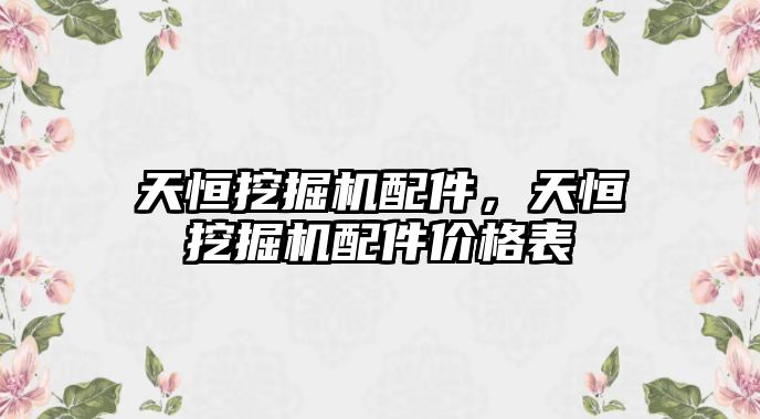 天恒挖掘機配件，天恒挖掘機配件價格表