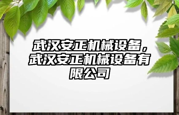 武漢安正機械設備，武漢安正機械設備有限公司