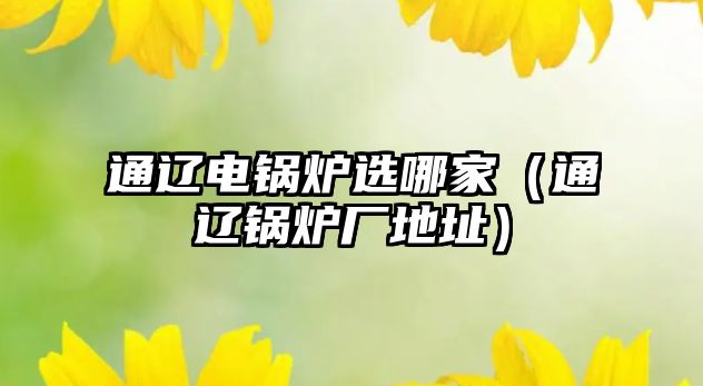 通遼電鍋爐選哪家（通遼鍋爐廠(chǎng)地址）