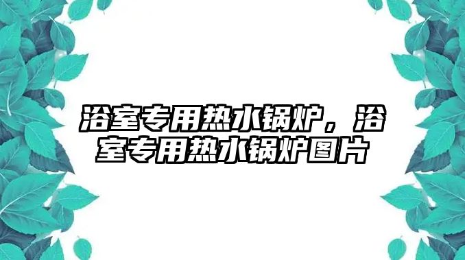 浴室專用熱水鍋爐，浴室專用熱水鍋爐圖片