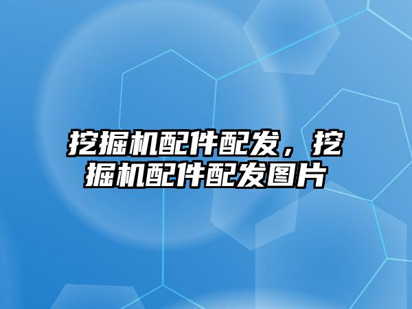 挖掘機配件配發(fā)，挖掘機配件配發(fā)圖片