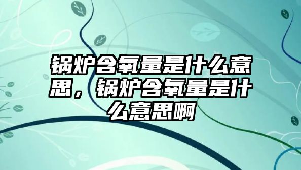 鍋爐含氧量是什么意思，鍋爐含氧量是什么意思啊