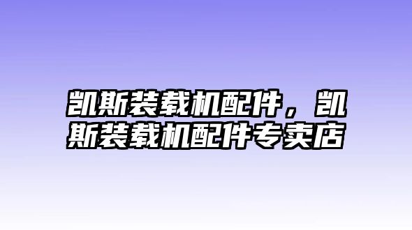 凱斯裝載機(jī)配件，凱斯裝載機(jī)配件專賣店