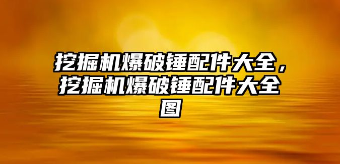 挖掘機爆破錘配件大全，挖掘機爆破錘配件大全圖