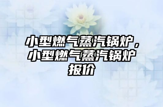 小型燃氣蒸汽鍋爐，小型燃氣蒸汽鍋爐報價