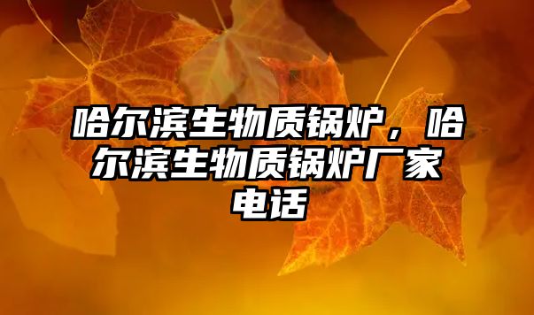 哈爾濱生物質(zhì)鍋爐，哈爾濱生物質(zhì)鍋爐廠家電話