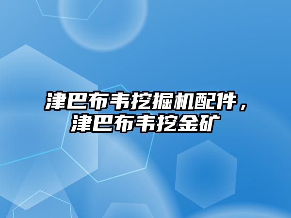 津巴布韋挖掘機(jī)配件，津巴布韋挖金礦