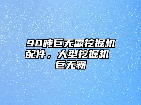 90噸巨無(wú)霸挖掘機(jī)配件，大型挖掘機(jī) 巨無(wú)霸