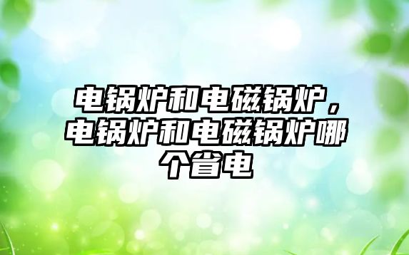 電鍋爐和電磁鍋爐，電鍋爐和電磁鍋爐哪個(gè)省電