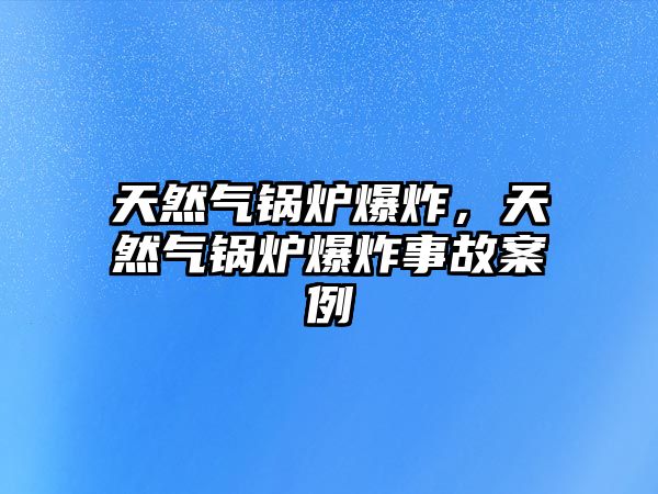 天然氣鍋爐爆炸，天然氣鍋爐爆炸事故案例