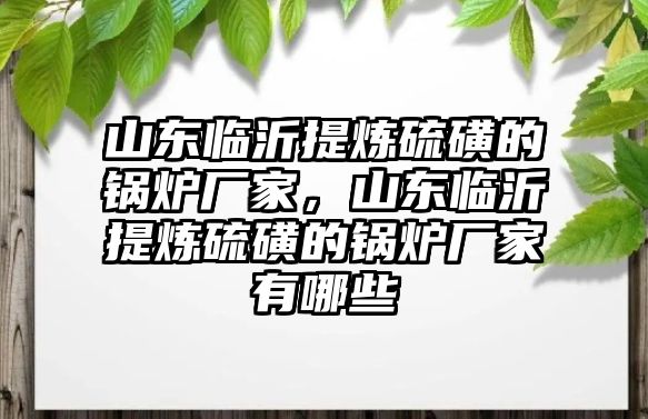 山東臨沂提煉硫磺的鍋爐廠家，山東臨沂提煉硫磺的鍋爐廠家有哪些